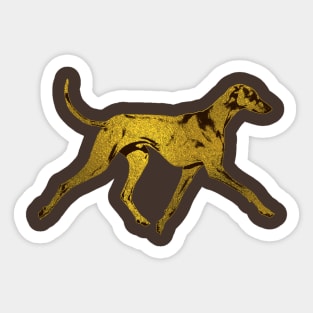 Azawakh Sighthound Sticker